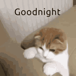 Good Night GIF