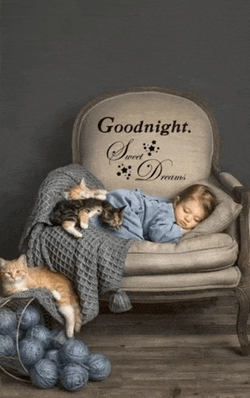 Good Night Good Night Sweet Dreams Meme GIF