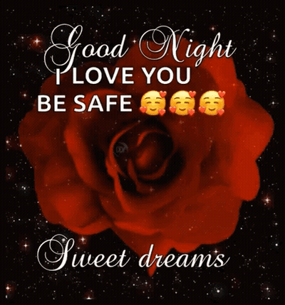Good Night I Love You Be Safe Sweet Dreams Red Rose GIF