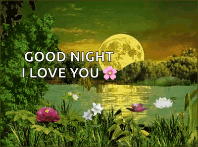 Good Night I Love You Card Full Moon GIF