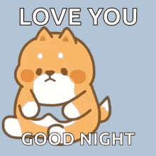 Good Night I Love You GIF