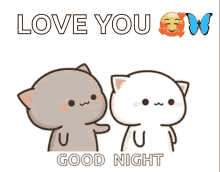 Good Night I Love You Peach Cat Kiss