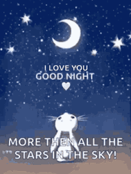 Good Night I Love You Rabbit Stars Sky  GIF