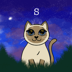 Good Night Kawaii Cat  GIF