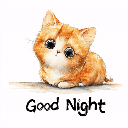 Good Night Kitten GIF