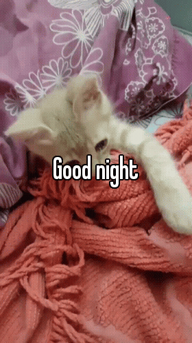 Good Night Kitten Laying On Blanket GIF