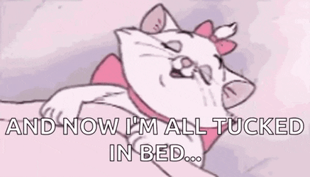 Good Night Kitty GIF