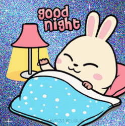 Good Night Lights Off Bunny