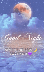 Good Night Love You Aesthetic Full Moon Water