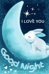 Good Night Love You Animated Bunny Sleeping Moon  GIF