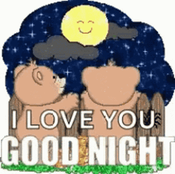 Good Night Love You Bears Looking Moon Sparkle
