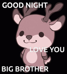 Good Night Love You Big Brother Dear Dance