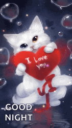 Good Night Love You Cat Heart Water Bubbles