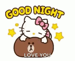 Good Night Love You Hello Kitty Mocha Bear