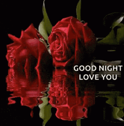 Good Night Love You Red Roses Water Reflection