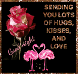 Good Night Love You Rose Couple Flamingo Greeting