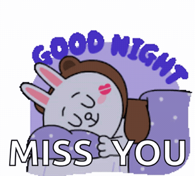 Good Night Miss You Bunny Sticker GIF