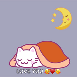 Good Night My Dear Sleepy Meme GIF