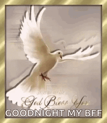 Good Night My Friend And God Bless GIF