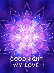 Good Night My Love Dazzling Flower GIF