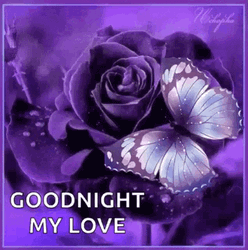 Good Night My Love Flapping Purple Butterfly GIF