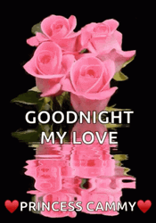 Good Night My Love Princess Cammy Roses GIF