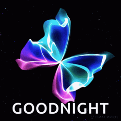 Good Night Neon Butterfly