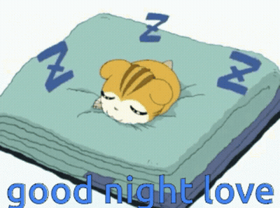 Good Night Night GIF