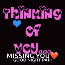 Good Night Papi Missing You GIF