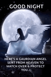 Good Night Praying For Blessings And Protection GIF