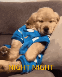 Good Night Puppy Yawn GIF