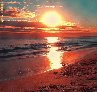 Good Night Red Sunset On Beach GIF