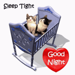 Good Night Sleep Tight Cat Cradle Rocking GIF