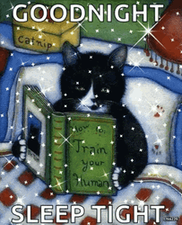 Good Night Sleep Tight Cat Reading Book  Bed GIF