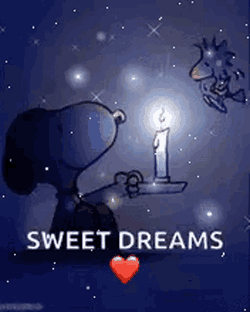 Good Night Sleep Tight GIF