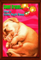 Good Night Sleep Tight Sweet Dreams Dog Toy