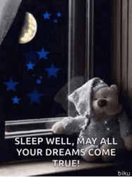 Good Night Sleep Tight Your Dreams Come True GIF