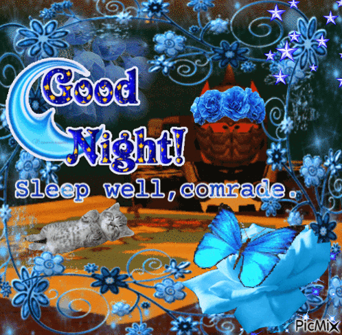 Good Night Sleep Well Comrade Flowers And Butterflies GIF