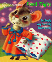 Good Night Sleep Well Cute Mouse GIF