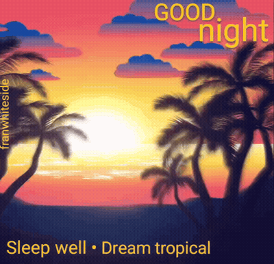 Good Night Sleep Well Dream Tropical Poster GIF