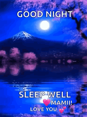 Good Night Sleep Well Mami ! Love You ! GIF
