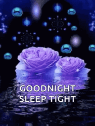 Good Night Sleep Well Two Roses GIF