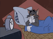Good Night Sleeping Tom GIF