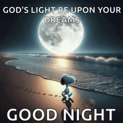 Good Night Snoopy Meme GIF