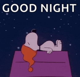 Good Night Snoopy Meme GIF