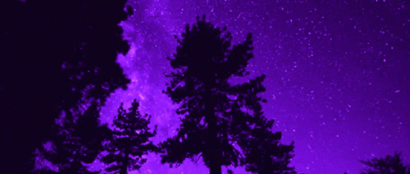 Good Night Stars Purple Aesthetic GIF