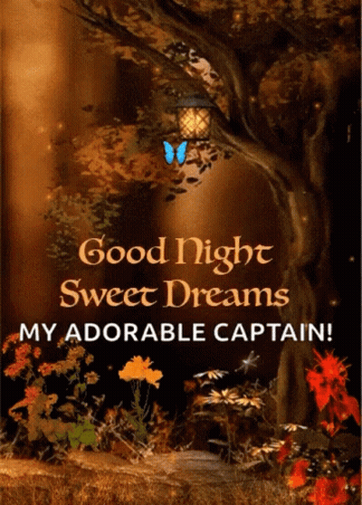Good Night Sweet Dreams Adorable Captain GIF
