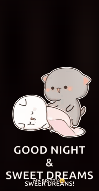 Good Night Sweet Dreams Cats GIF
