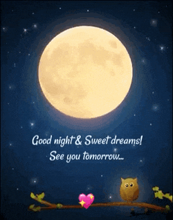 Good Night Sweet Dreams GIF