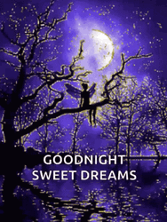 Good Night Sweet Dreams Majestic Moon